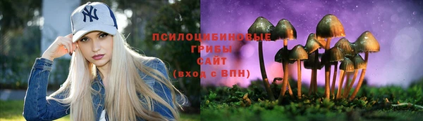 наркотики Богданович