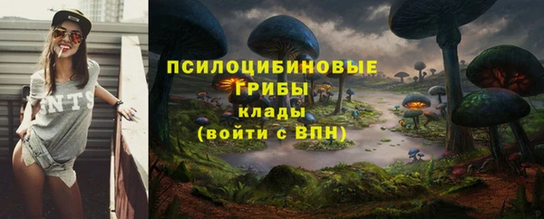 соль ск Богородицк
