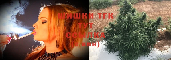 соль ск Богородицк